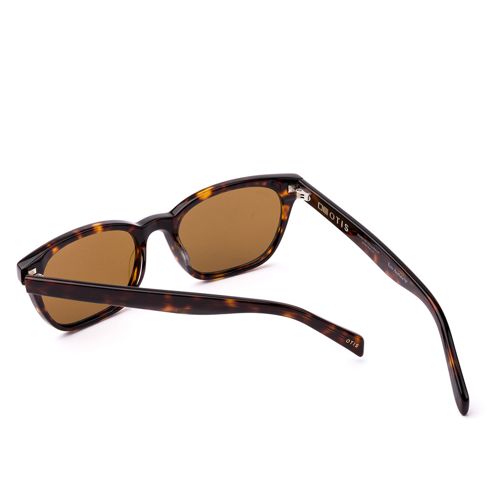 Otis Chorus Polarised Eco Havana Ray Brown 210-2605P (53)