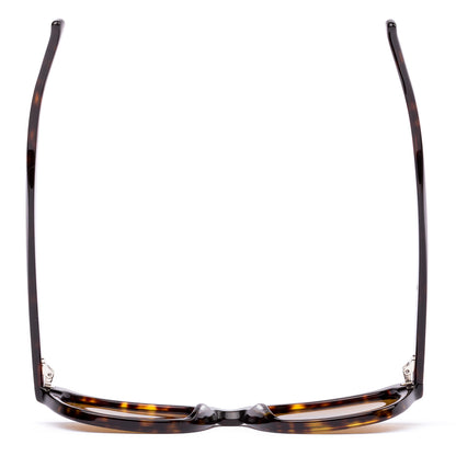 Otis Chorus Polarised Eco Havana Ray Brown 210-2605P (53)