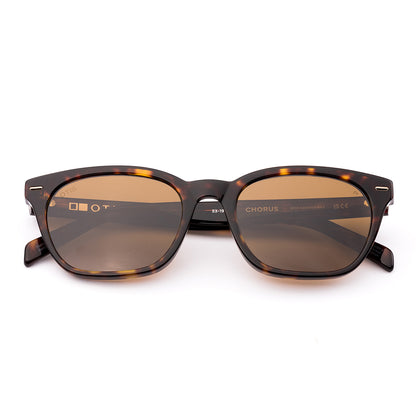Otis Chorus Polarised Eco Havana Ray Brown 210-2605P (53)