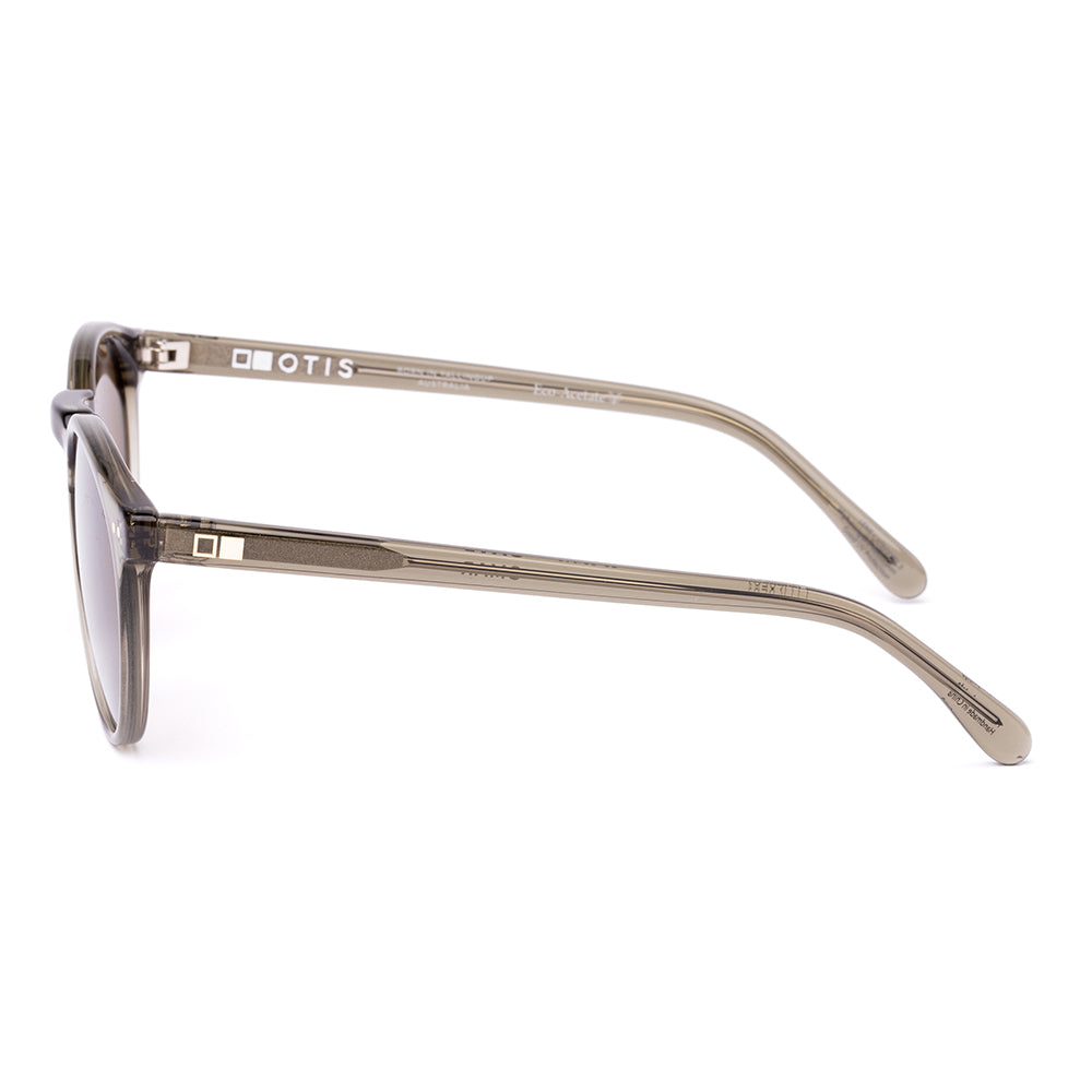 Otis Omar Polarised Eco Crystal Fern Brown 26-2618P (50)