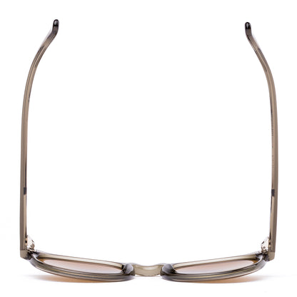 Otis Omar Polarised Eco Crystal Fern Brown 26-2618P (50)