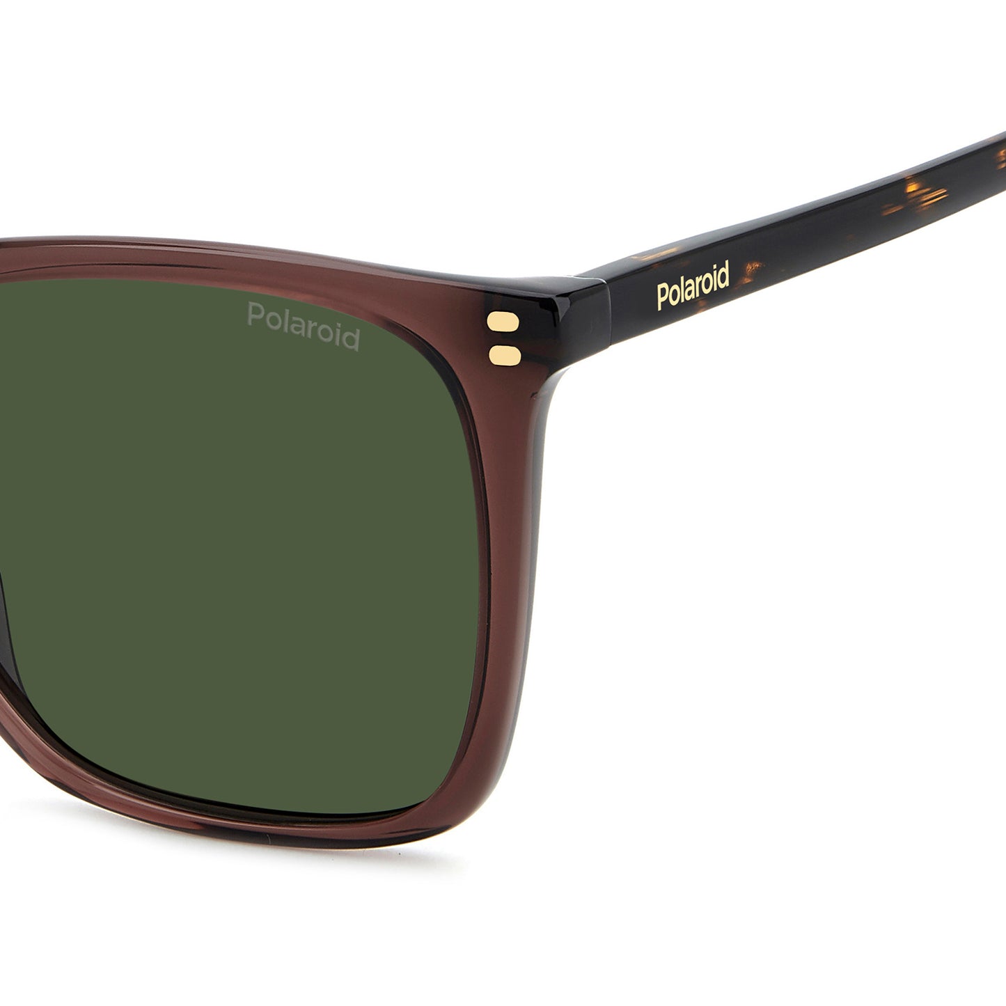 Polaroid 4201/S/X Polarised Brown Green PLD 4201/S/X 09Q UC (55)