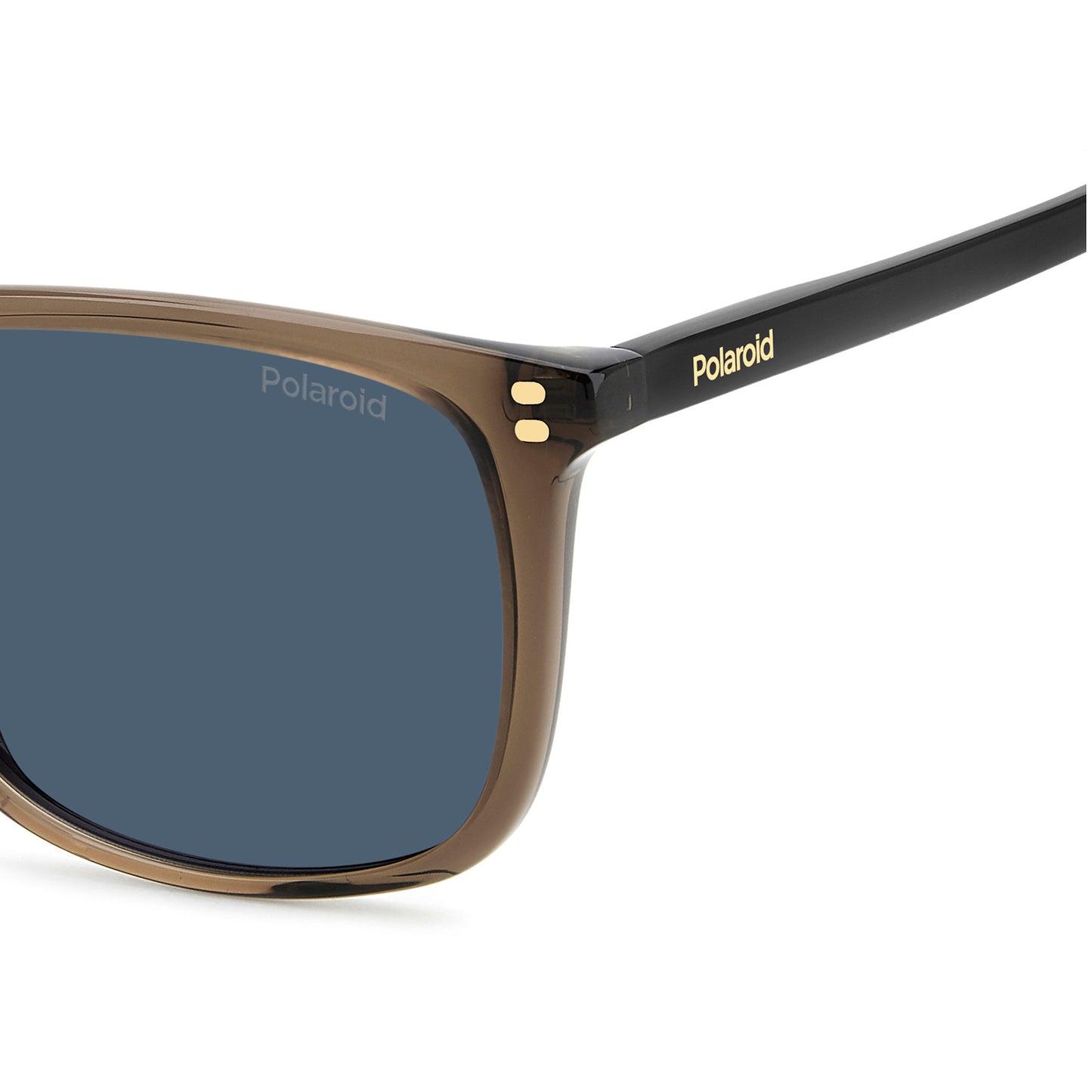 Polaroid 4202/S/X Polarised Brown Blue PLD 4202/S/X 09Q C3 (55)