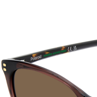 Polaroid 4200/S/X Polarised Brown Brown PLD 4200/S/X 09Q SP (56)