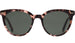 Otis Jazmine Eco Havana Blush Grey (164-2210)