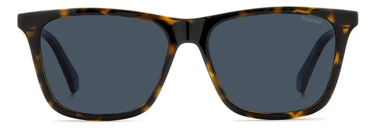 Polaroid 4190/S Polarised Havana Blue (4190/S 086 C3)