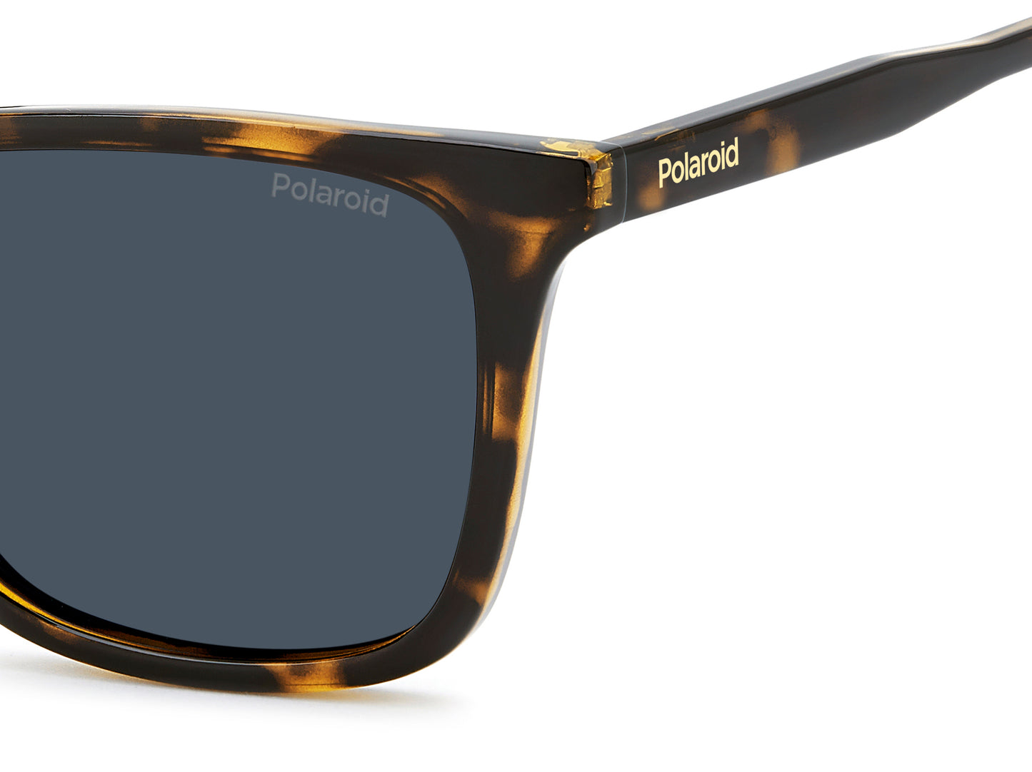 Polaroid 4190/S Polarised Havana Blue (4190/S 086 C3)