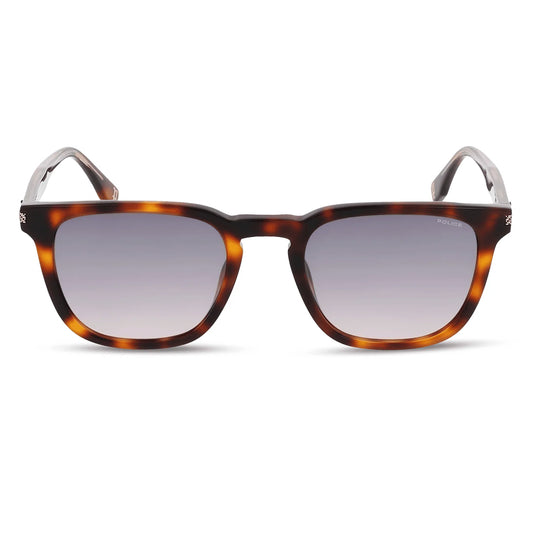 Police Grind 1 Dark Havana Gradient Smoke SPLR74 0752 (54)