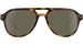 Serengeti Mateo Polarised Shiny Havana Glass 555nm (765003)