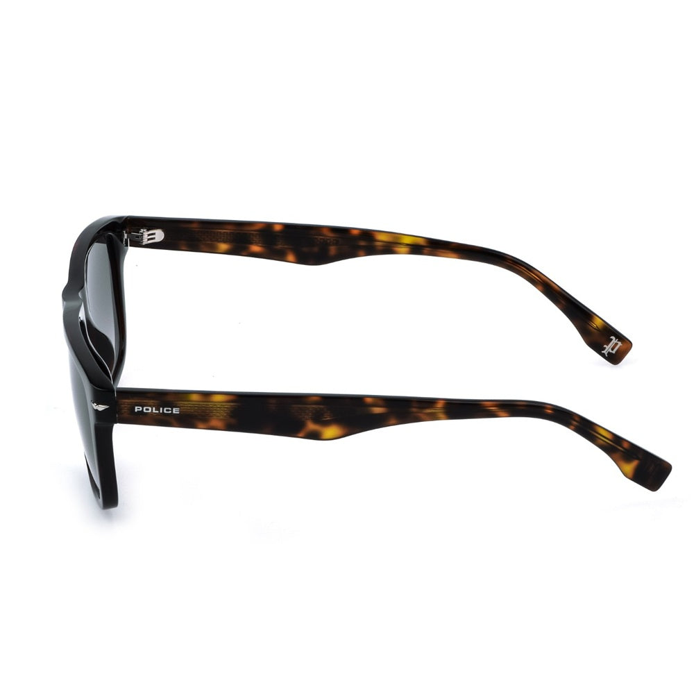 Police Champ 14 Havana Gradient Smoke SPLQ83 06E4 (56)