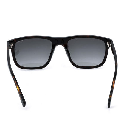 Police Champ 14 Havana Gradient Smoke SPLQ83 06E4 (56)