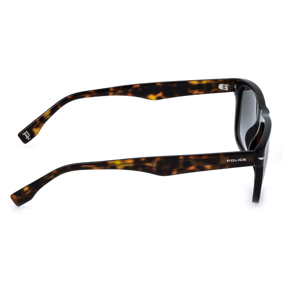 Police Champ 14 Havana Gradient Smoke SPLQ83 06E4 (56)