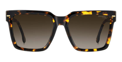Carrera 3067/S Havana Brown Gradient (3067/S 086 HA)