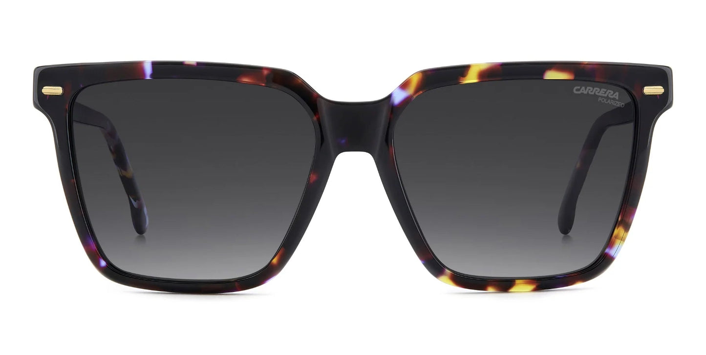 Carrera 3069/S Polarised Violet Havana Grey Gradient (3069/S HKZ WJ)