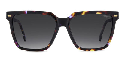 Carrera 3069/S Polarised Violet Havana Grey Gradient (3069/S HKZ WJ)