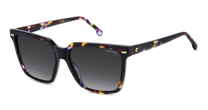 Carrera 3069/S Polarised Violet Havana Grey Gradient (3069/S HKZ WJ)