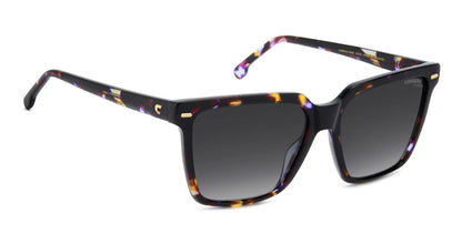 Carrera 3069/S Polarised Violet Havana Grey Gradient (3069/S HKZ WJ)