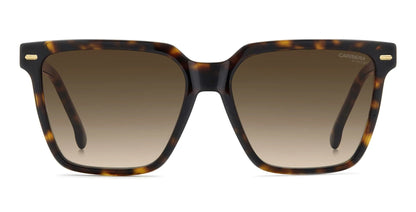 Carrera 3069/S Havana Brown Gradient (3069/S 086 HA)
