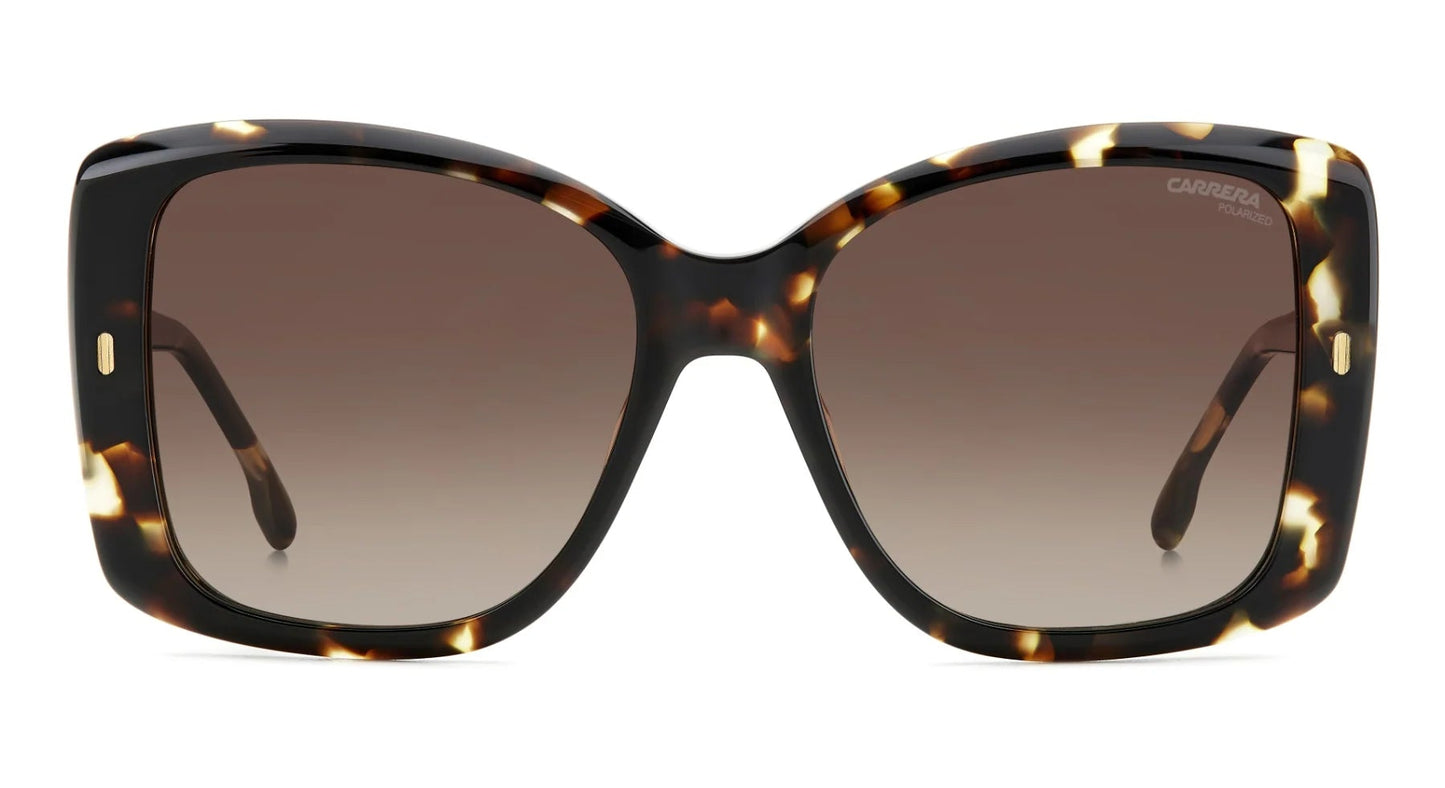 Carrera 3030/S Polarised Brown/Havana Brown Gradient (3030/S WR9 LA)