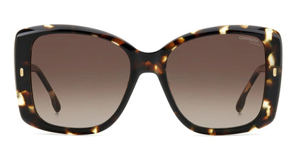 Carrera 3030/S Polarised Brown/Havana Brown Gradient (3030/S WR9 LA)