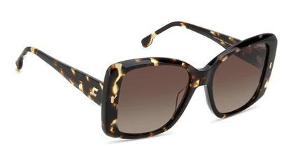 Carrera 3030/S Polarised Brown/Havana Brown Gradient (3030/S WR9 LA)