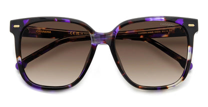 Carrera 3002/S Violet Havana Brown Gradient (3002/S HKZ HA)