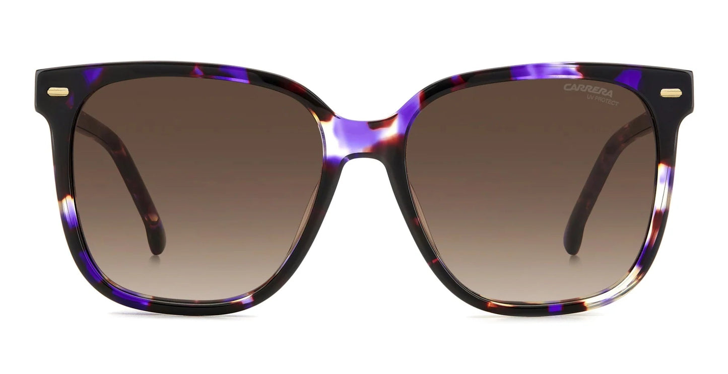 Carrera 3002/S Violet Havana Brown Gradient (3002/S HKZ HA)