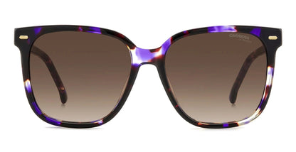 Carrera 3002/S Violet Havana Brown Gradient (3002/S HKZ HA)