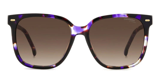 Carrera 3002/S Violet Havana Brown Gradient (3002/S HKZ HA)