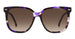 Carrera 3002/S Violet Havana Brown Gradient (3002/S HKZ HA)