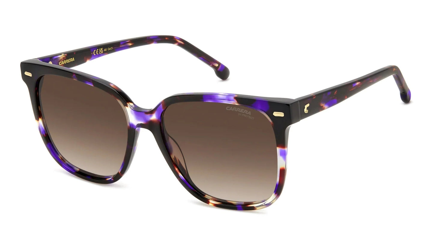 Carrera 3002/S Violet Havana Brown Gradient (3002/S HKZ HA)