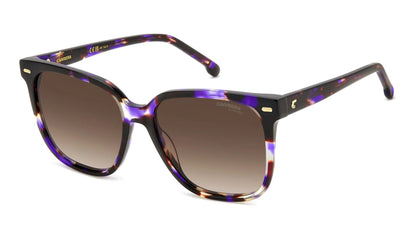 Carrera 3002/S Violet Havana Brown Gradient (3002/S HKZ HA)