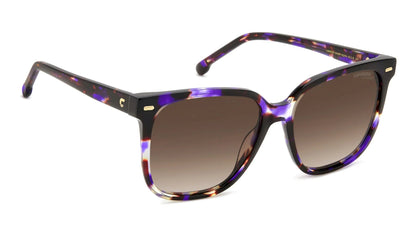 Carrera 3002/S Violet Havana Brown Gradient (3002/S HKZ HA)