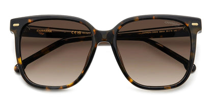 Carrera 3002/S Havana Brown Gradient (3002/S 086 HA)