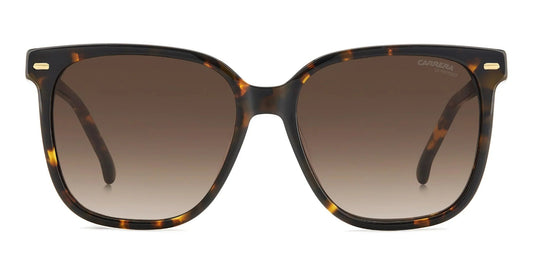 Carrera 3002/S Havana Brown Gradient (3002/S 086 HA)