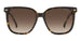 Carrera 3002/S Havana Brown Gradient (3002/S 086 HA)