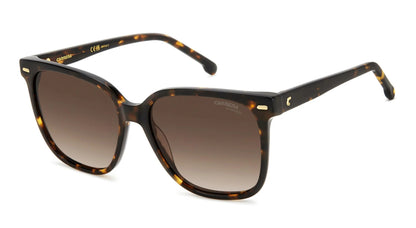 Carrera 3002/S Havana Brown Gradient (3002/S 086 HA)