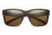 Smith Emerge Polarised Matte Havana ChromaPop Brown (Emerge N9P L5)