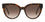 Kate Spade Javana/G/S Polarised Havana Brown Gradient (Javana /G/S 086 LA)