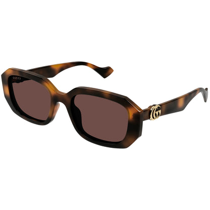 Gucci 1535S Havana Brown GG1535S 002 (54)