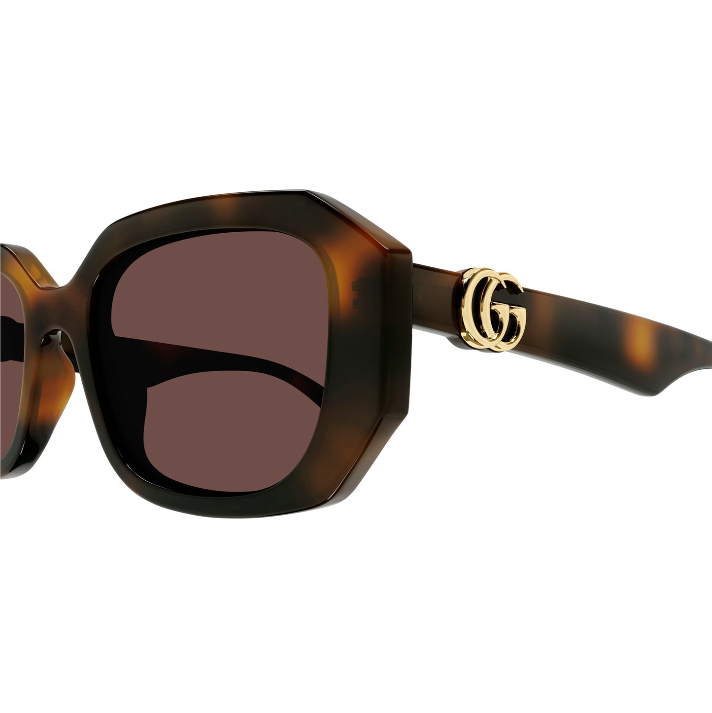 Gucci 1535S Havana Brown GG1535S 002 (54)