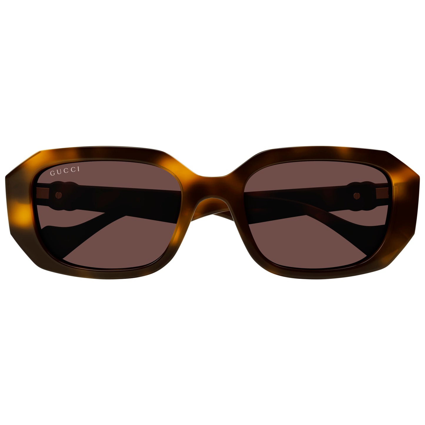 Gucci 1535S Havana Brown GG1535S 002 (54)