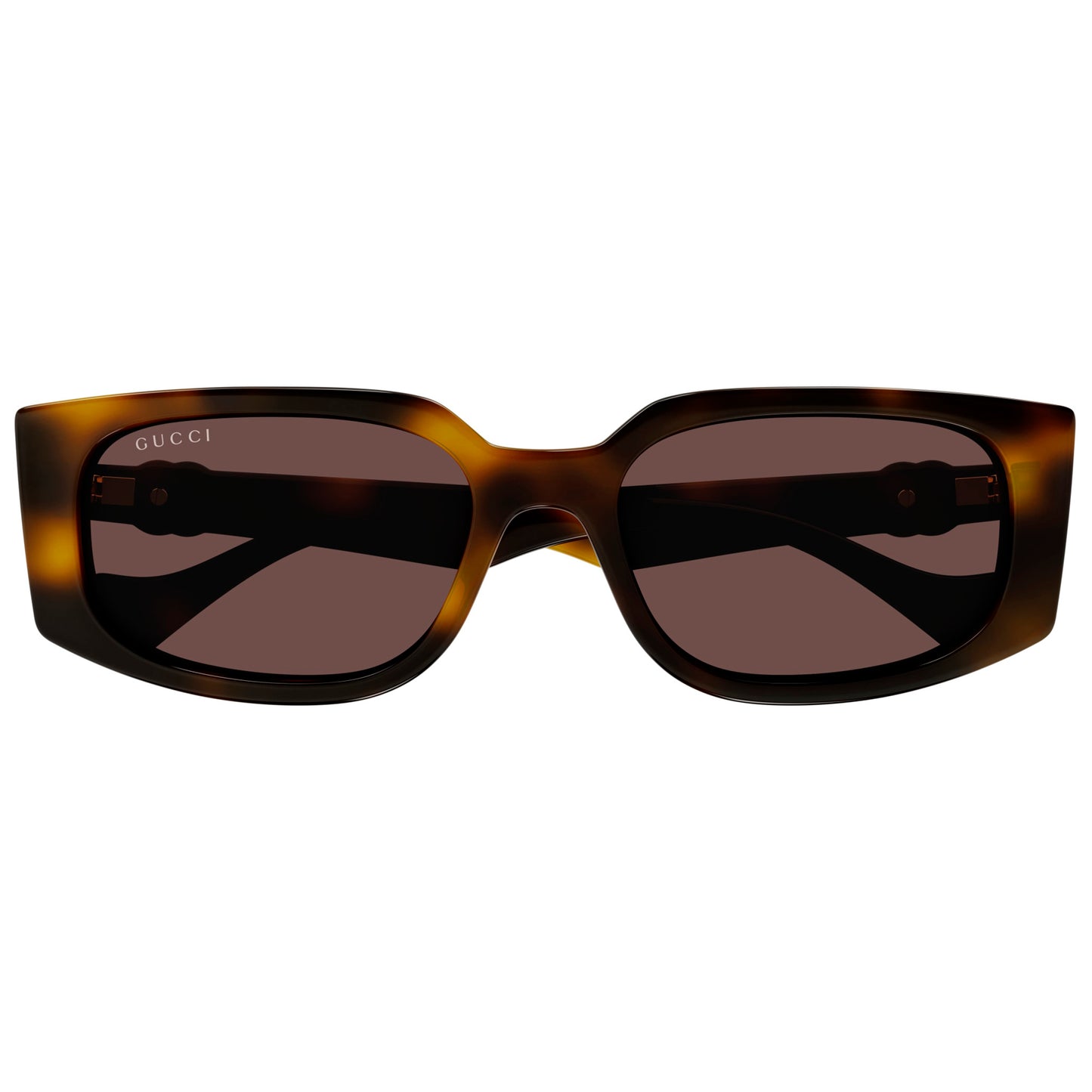 Gucci 1534S Havana Brown GG1534S 002 (55)