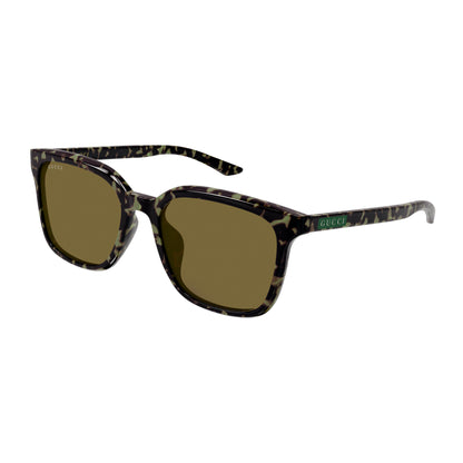 Gucci 2080SK Havana Brown GG2080SK003 (55)
