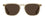 Raen Wiley (56) Eden Vibrant Brown Polarised (Wiley 11)
