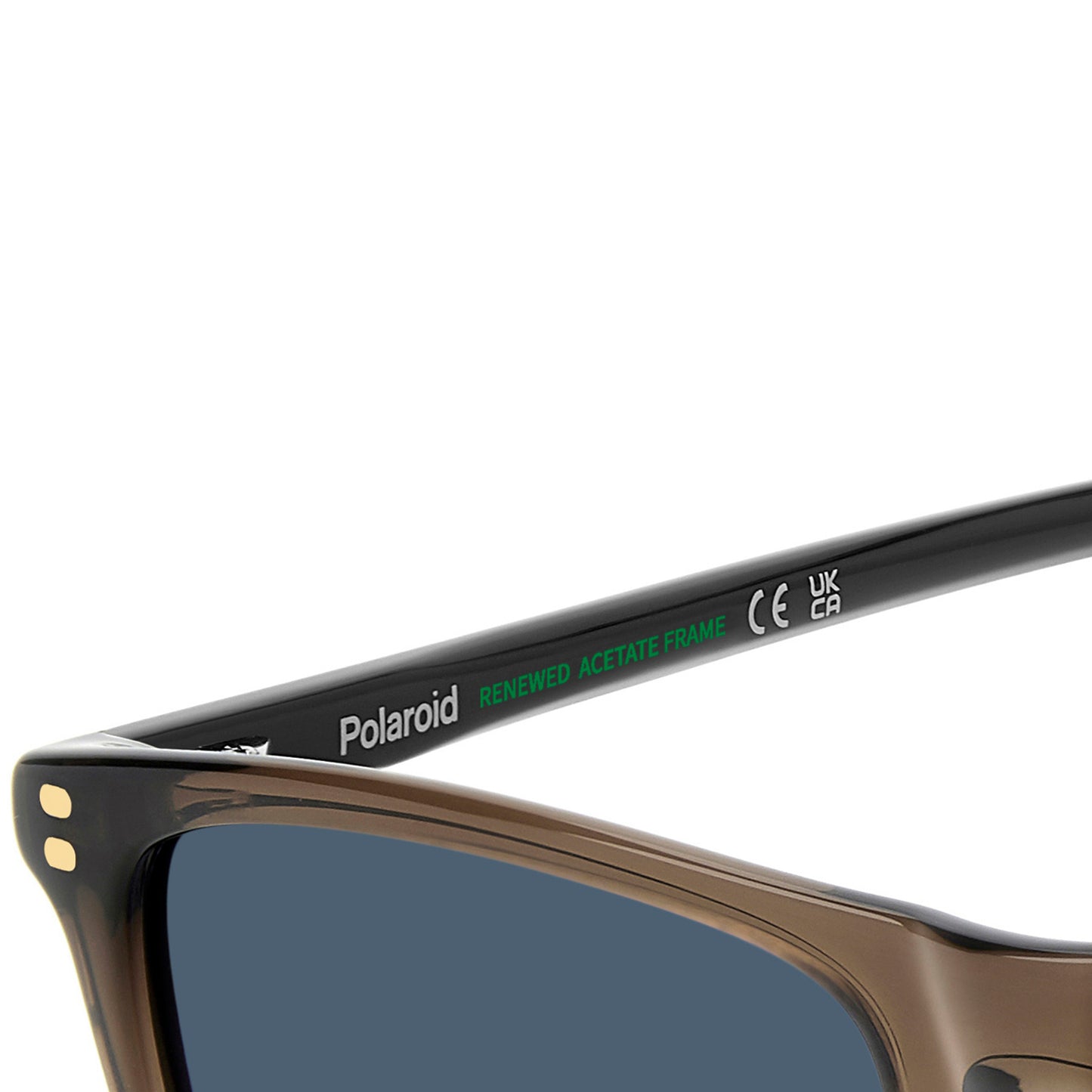 Polaroid 4202/S/X Polarised Brown Blue PLD 4202/S/X 09Q C3 (55)